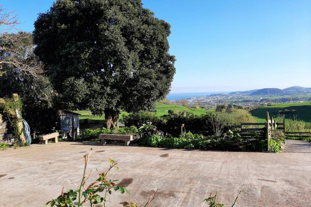 Appartamento Casa da Mediana Ribeira Grande Esterno foto
